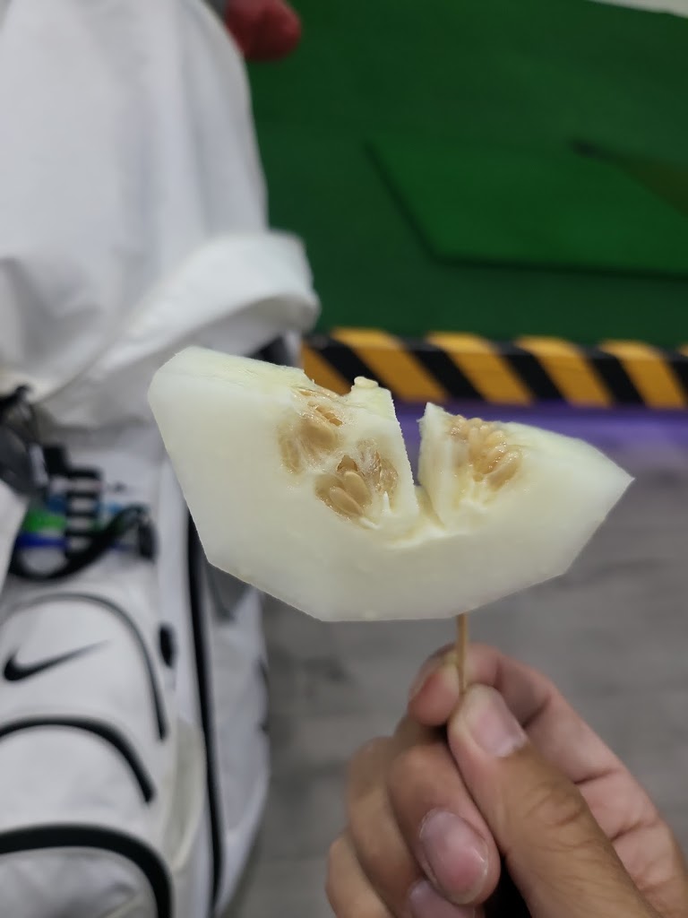 SMS Screen Golf And Academy - review