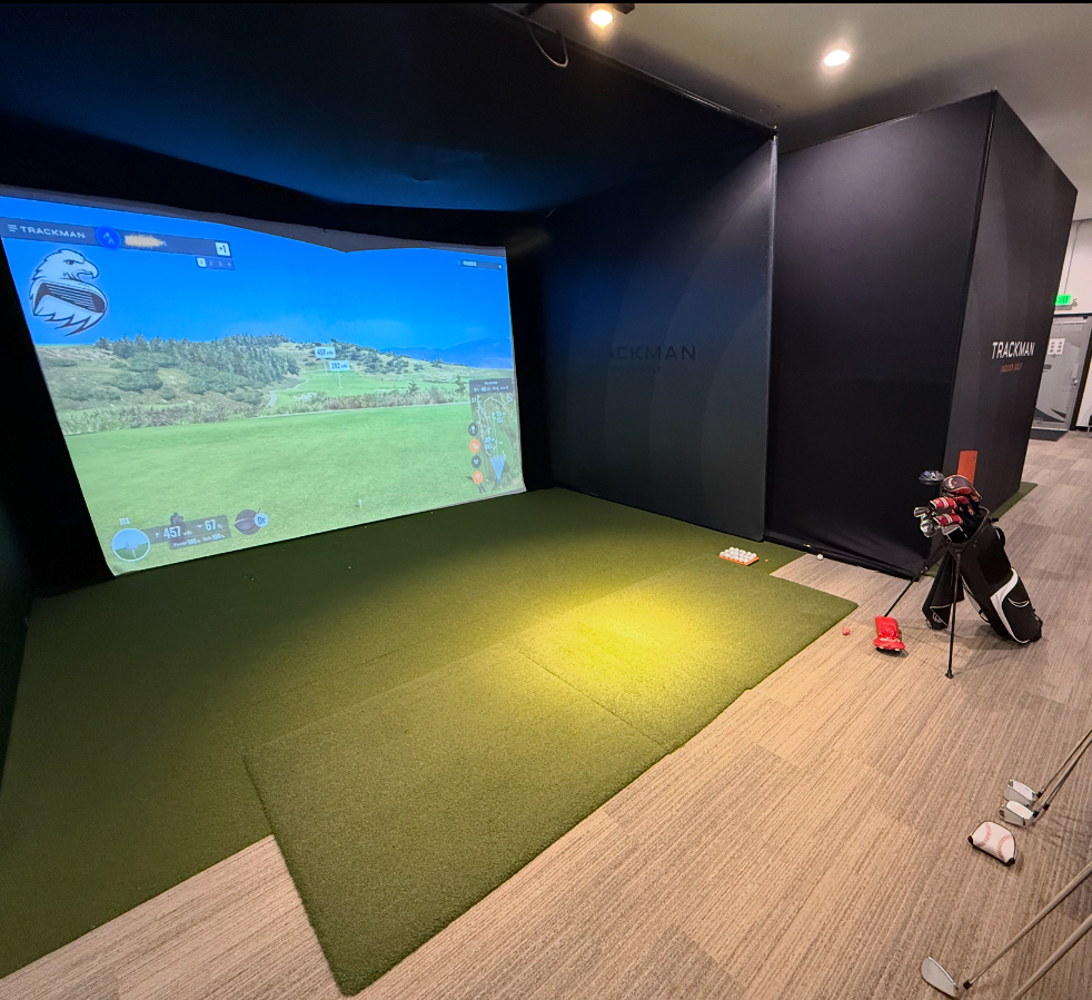 Iron Eagle Golf - review