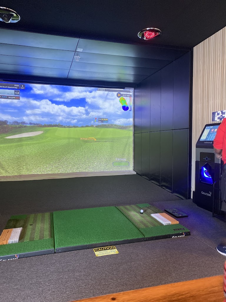 Pin Seeker Indoor Golf - review