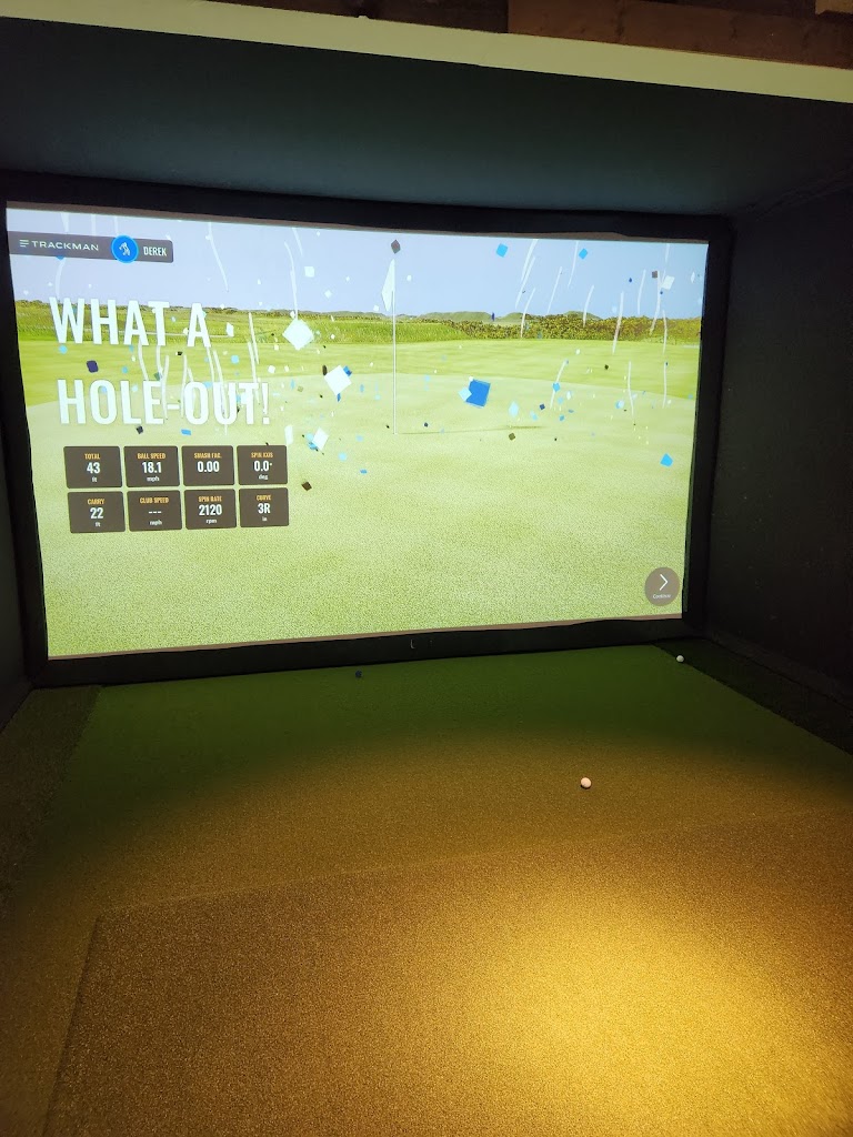 Shore Sim Golf - review