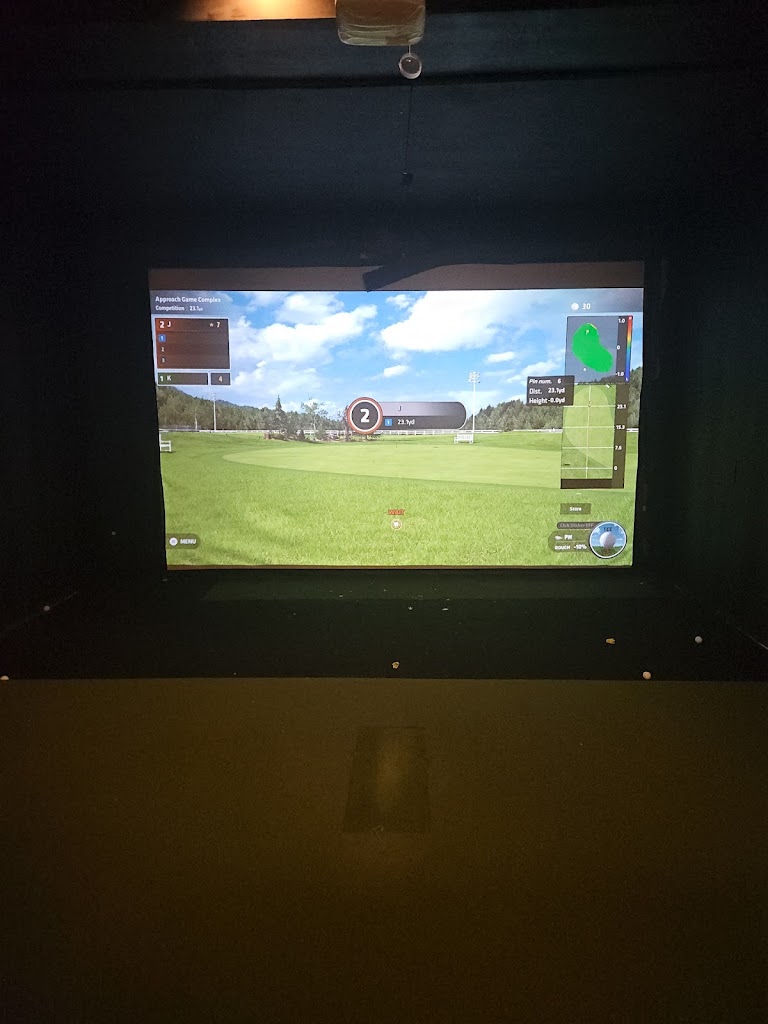 Pro Swing Golf Terre Haute - review