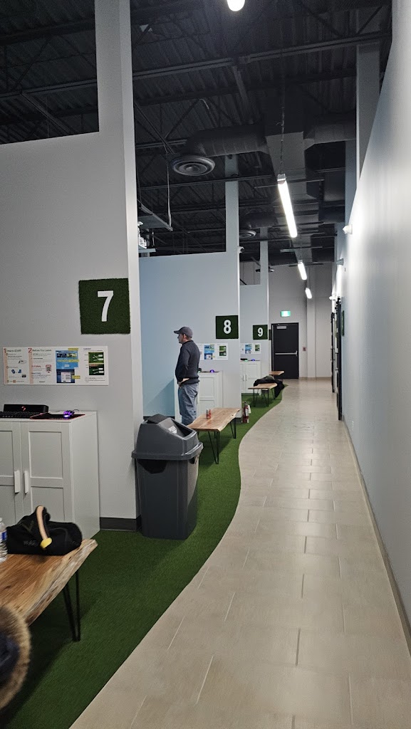 TARGET Indoor Golf - review