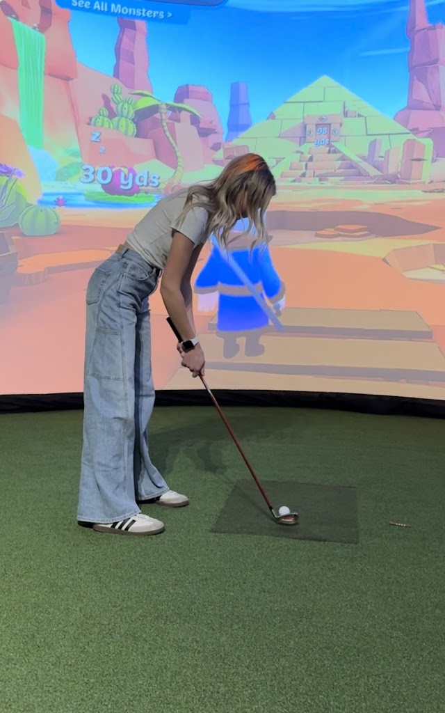 The Virtual Golf Club - review