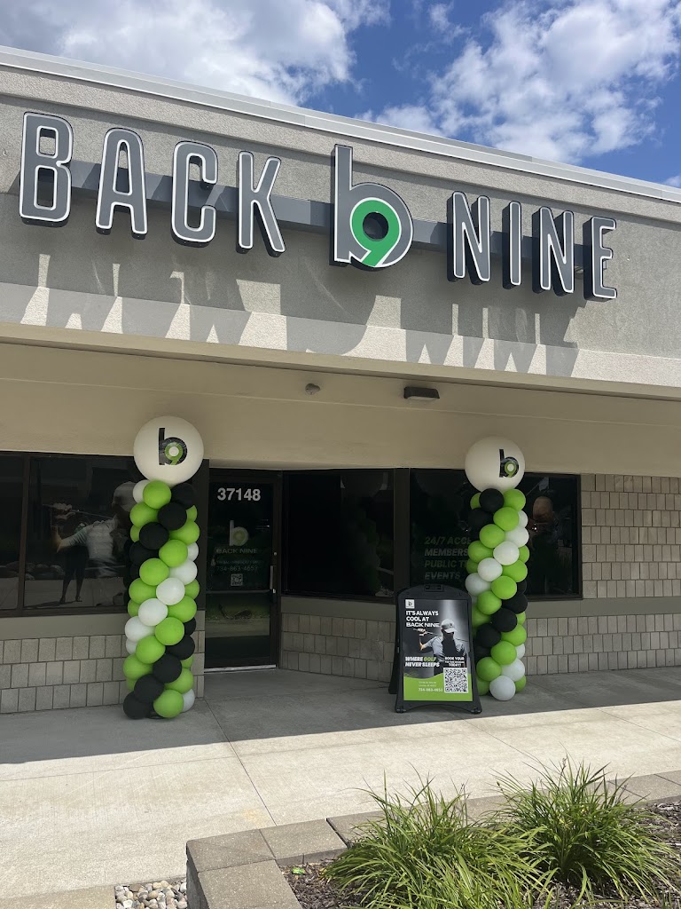 The Back Nine Golf | Livonia, MI - review