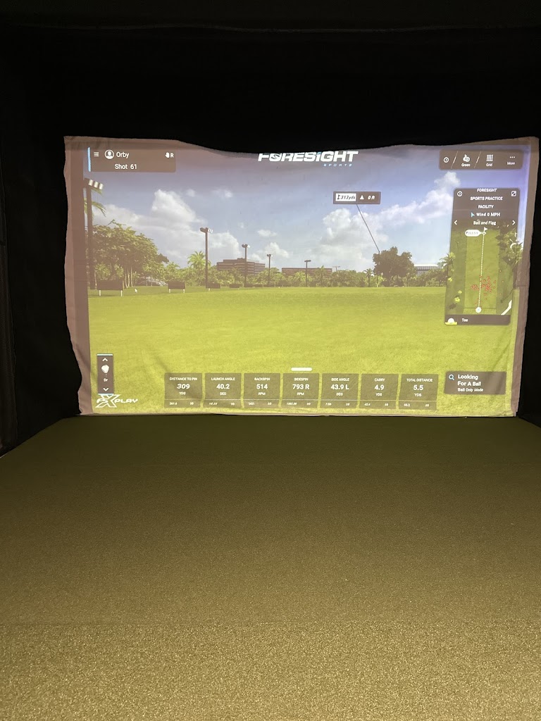 Virtual Fairways - review