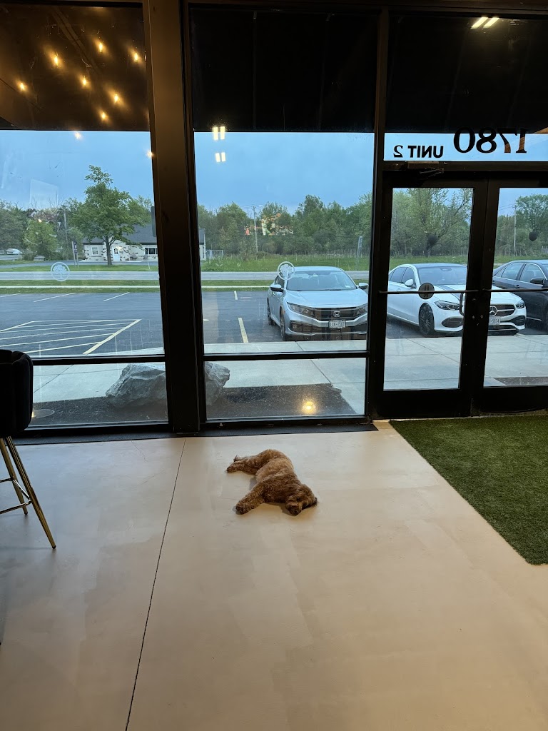 Vienna Golf - review