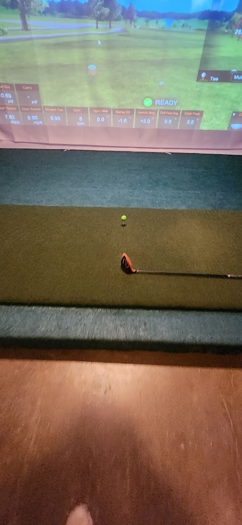 Maximus Indoor Golf - review