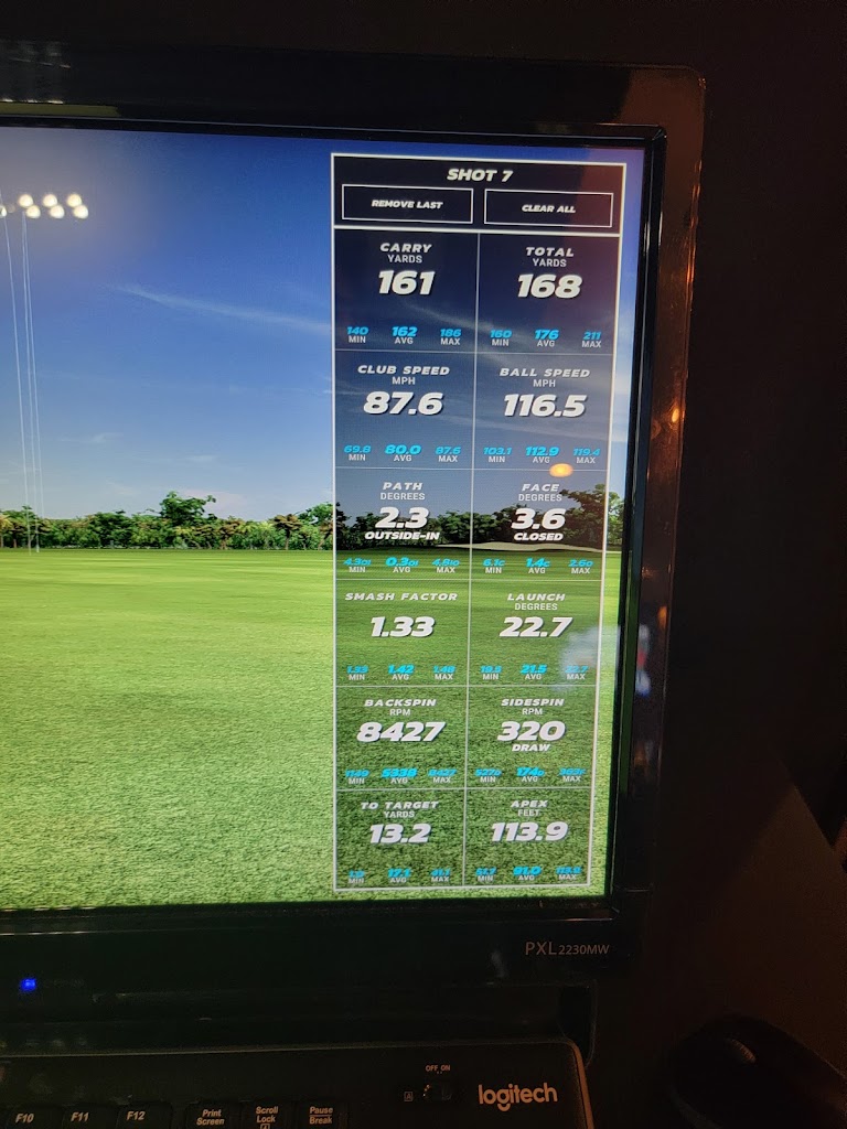 AVID Indoor Golf - review