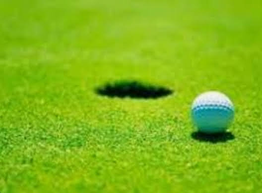 Windsor Island Golf Center - review