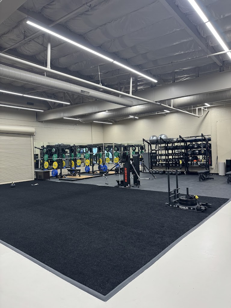 The Sand Trapp - review