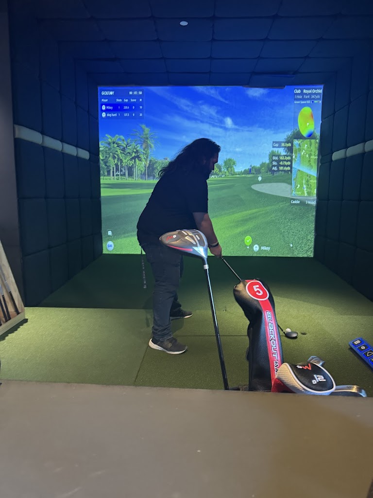 Fore Play Simulators - review