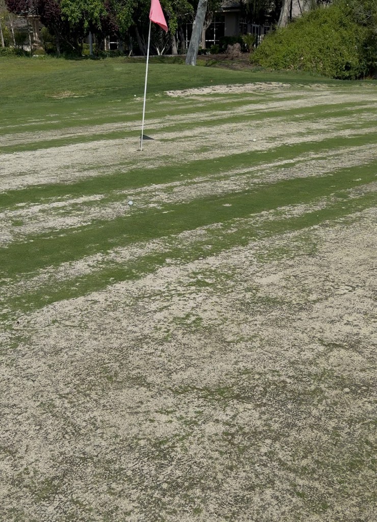 Palm Tree Golf and Event Center - review