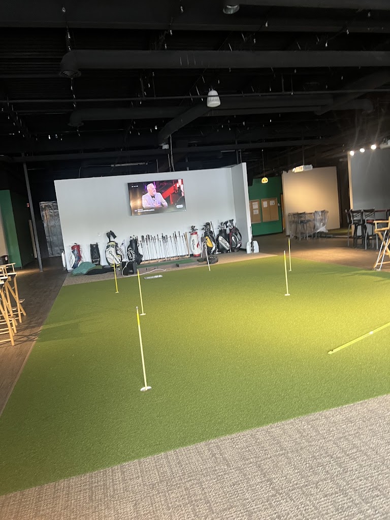 Sota Sims Golf - review