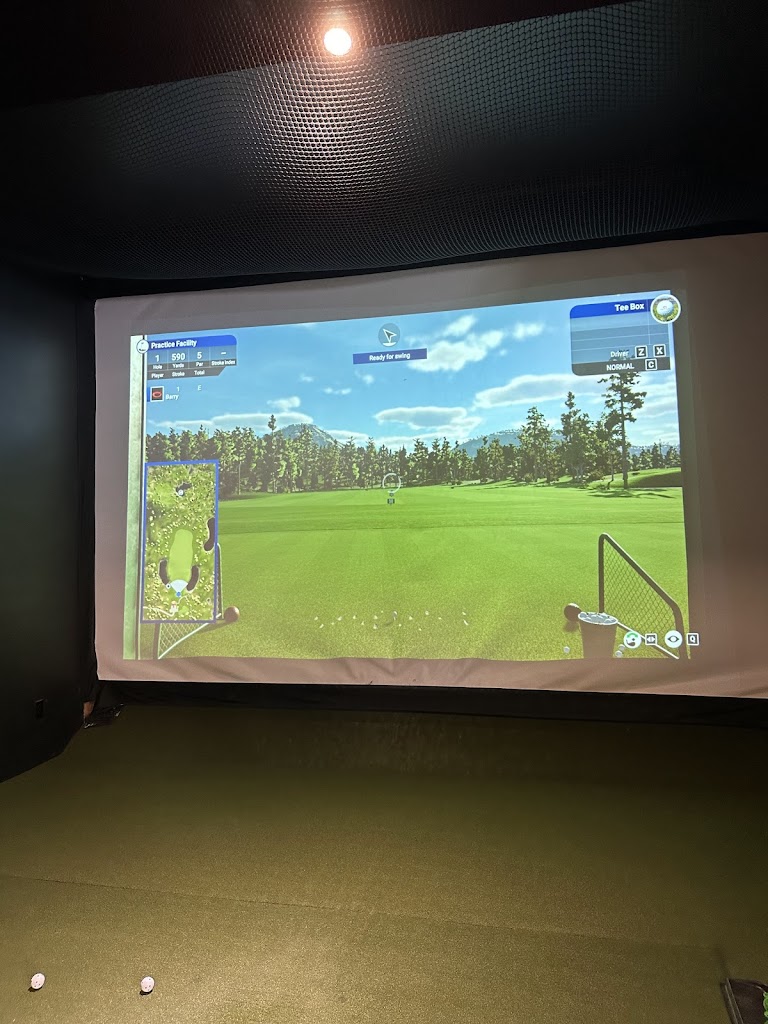 Happy's Indoor Golf - review