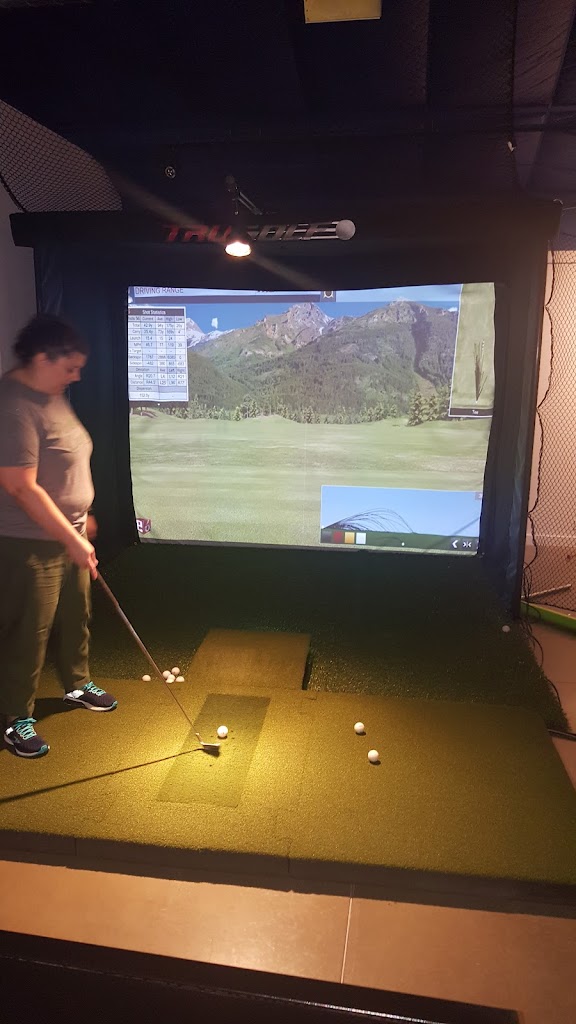 Augusta Virtual Golf - review
