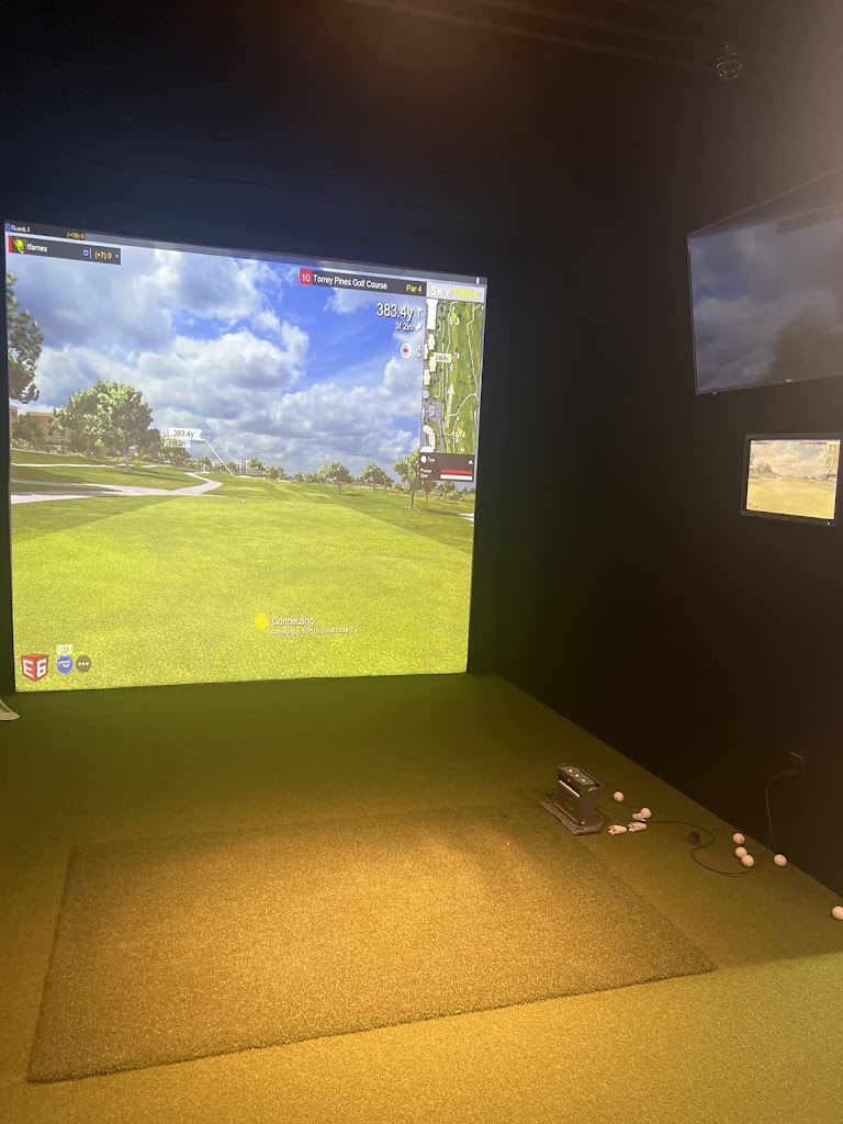 Fore Seasons Golf - review