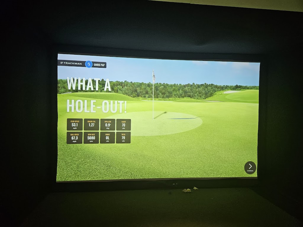 Shore Sim Golf - review