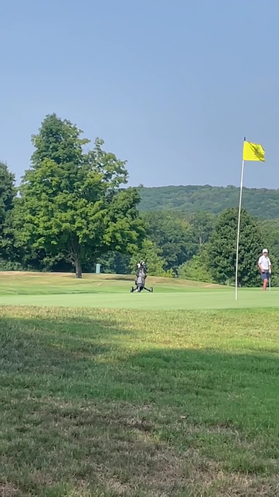 GOLFTEC Buffalo - review