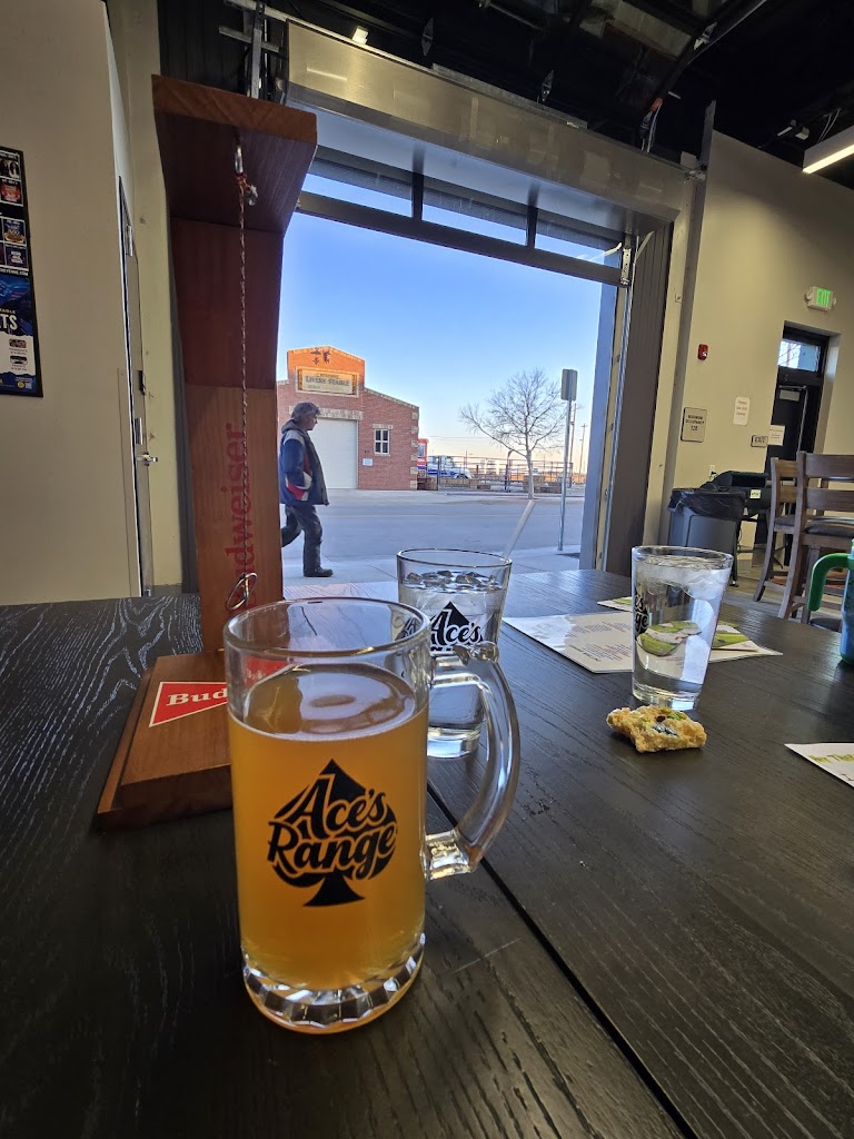 Ace's Range - review