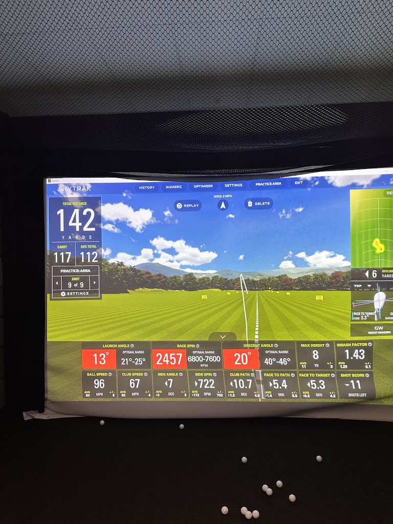 GOLFTEC New Tampa - review