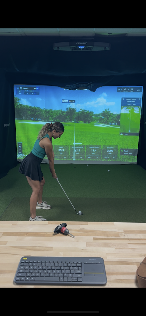 Flipwedge ProSim - review