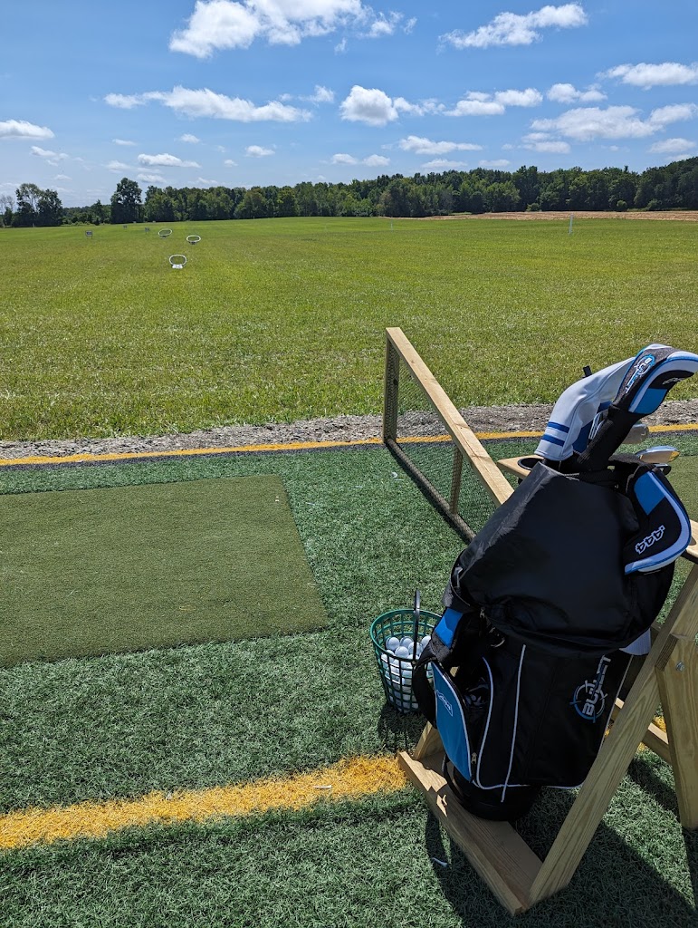 SHORT DRIVE - Sports Simulation - review