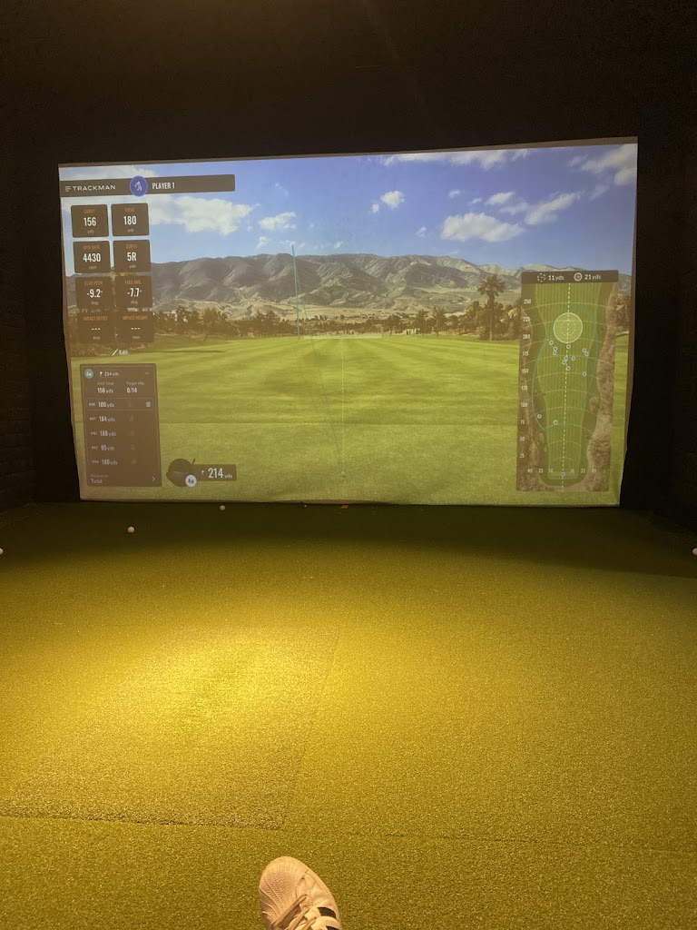 The Golf Spot Bay Area - review