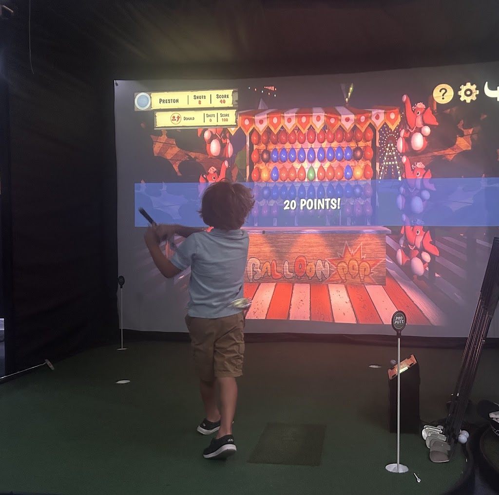 Pin-Seekers Indoor Golf Simulator - review