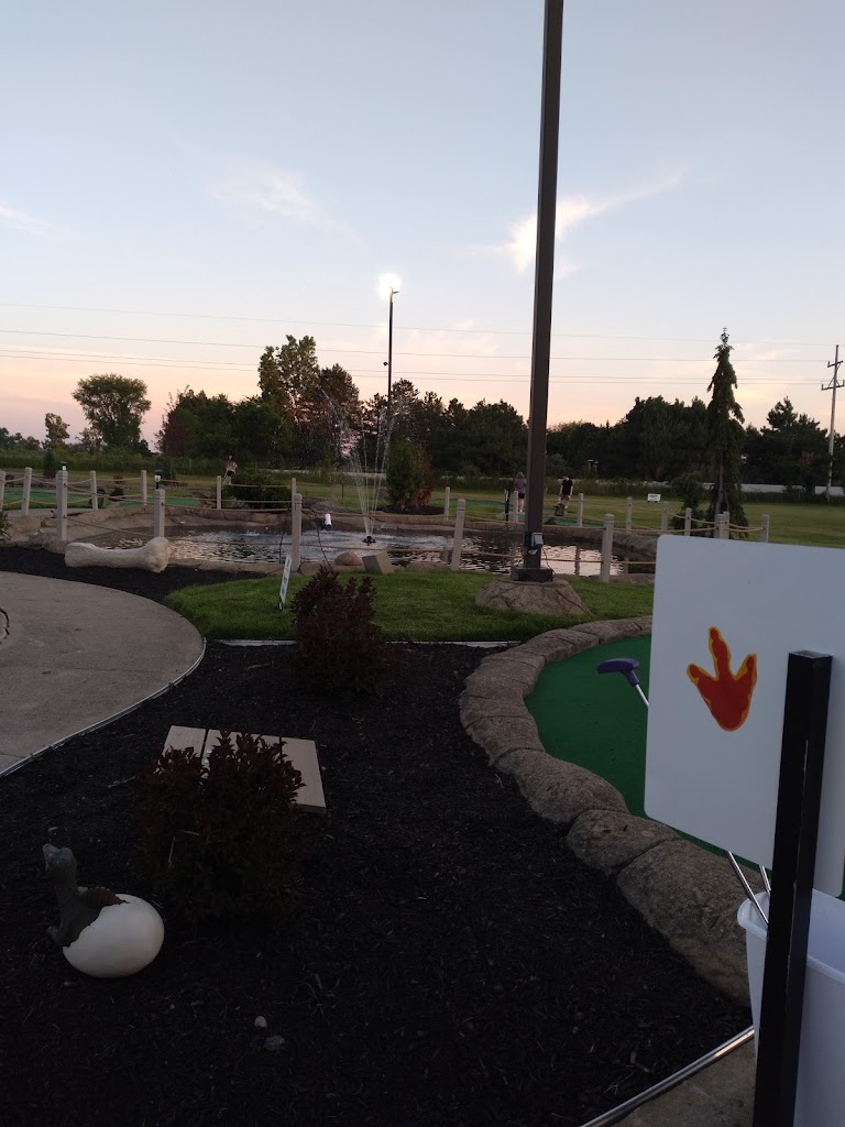 Apex Sports & Entertainment - review