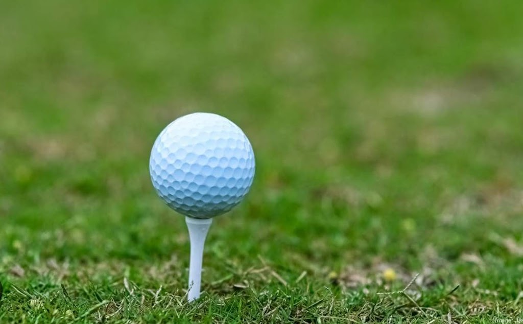 Windsor Island Golf Center - review