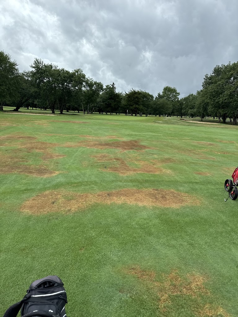 Green Harbor Golf Club - review