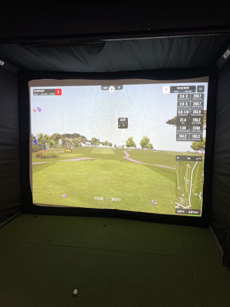 Swing Factory Golf - review