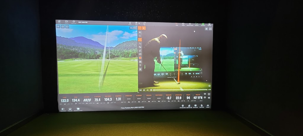 Next Level Indoor Golf - review