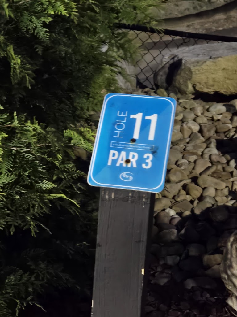 Cool Springs Golf - review