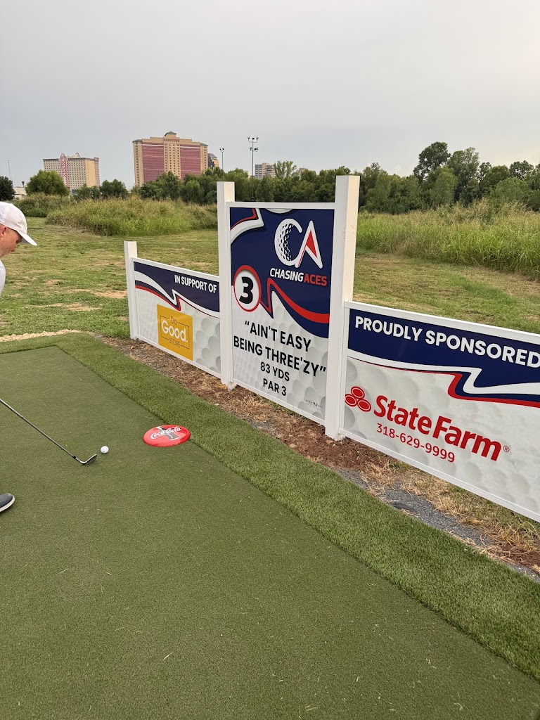 Chasing Aces - review