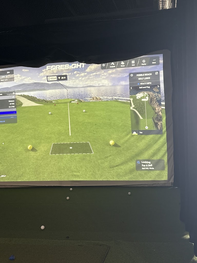 The Drop Zone | Golf Simulators and Sports Bar - review