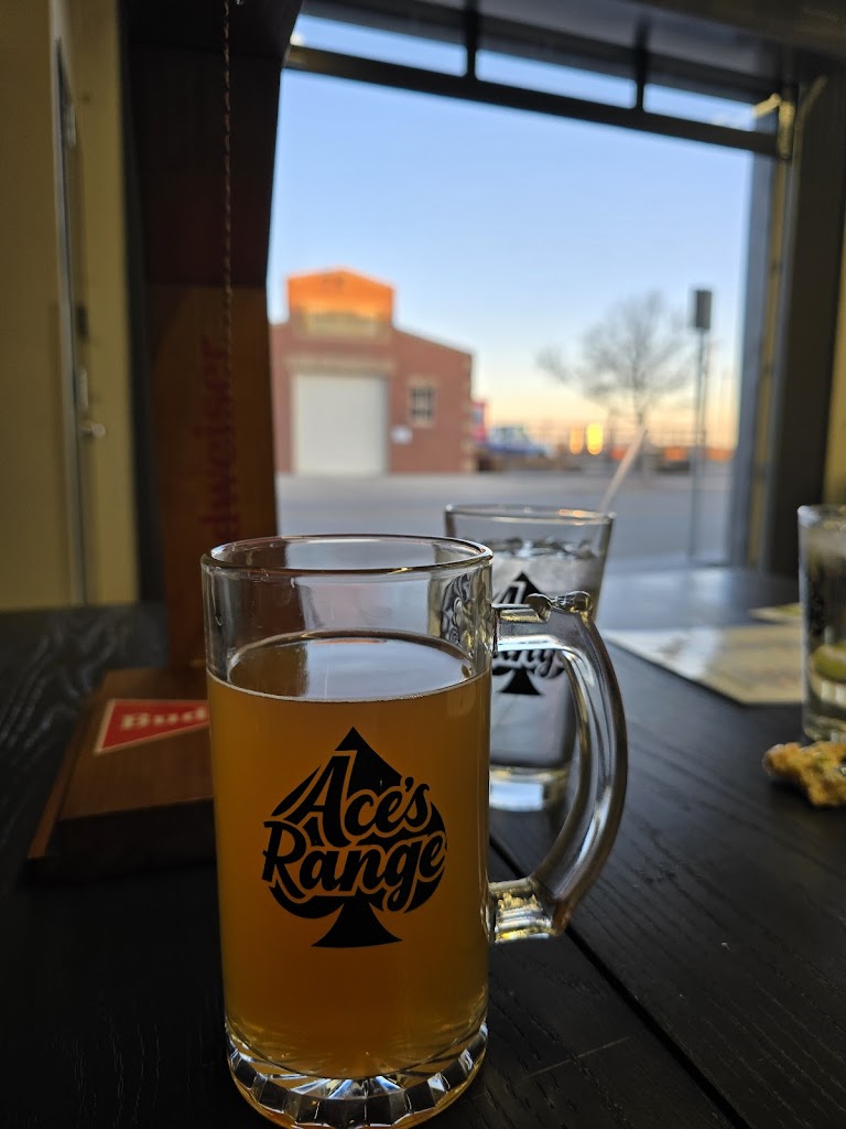 Ace's Range - review