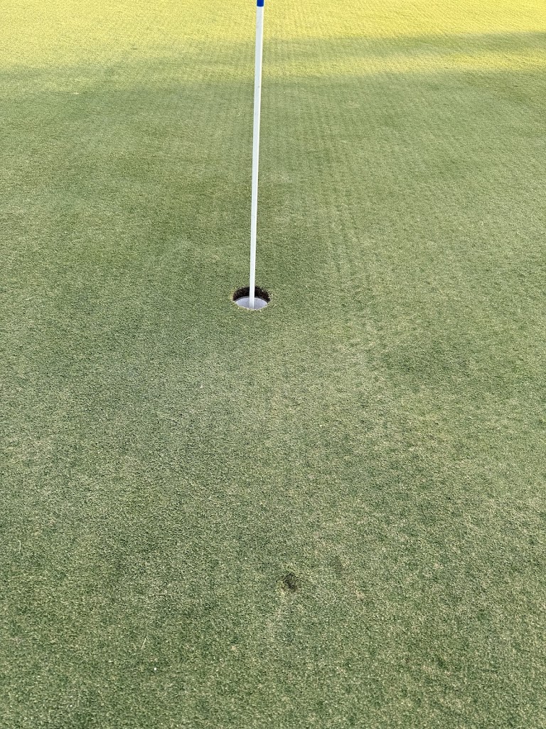 GOLFTEC Plano - review