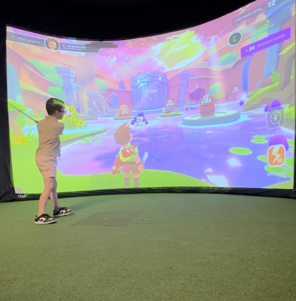 The Virtual Golf Club - review