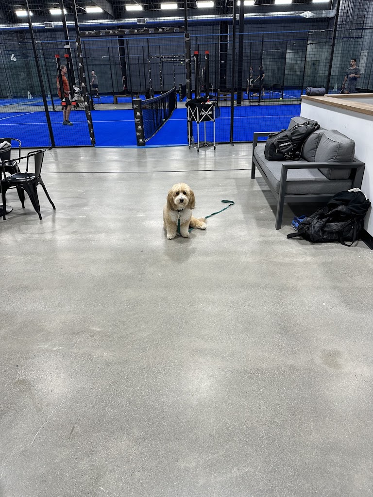 The Sports Haus - review