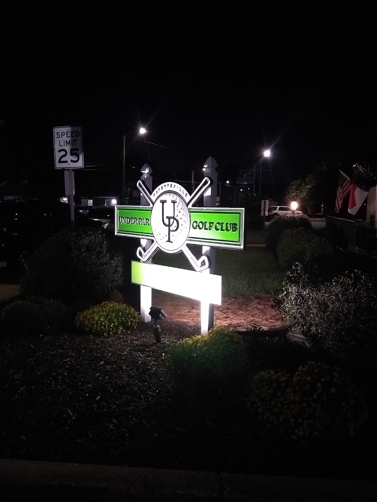 Under Par Golf Club - review