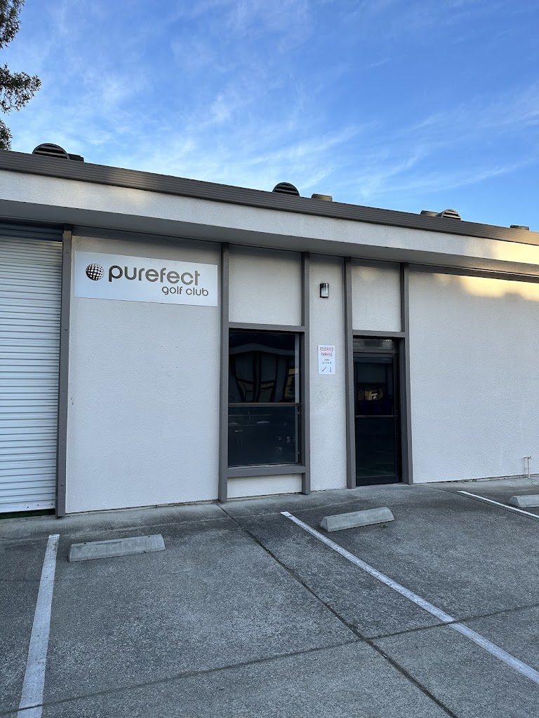 Purefect Golf Club - review