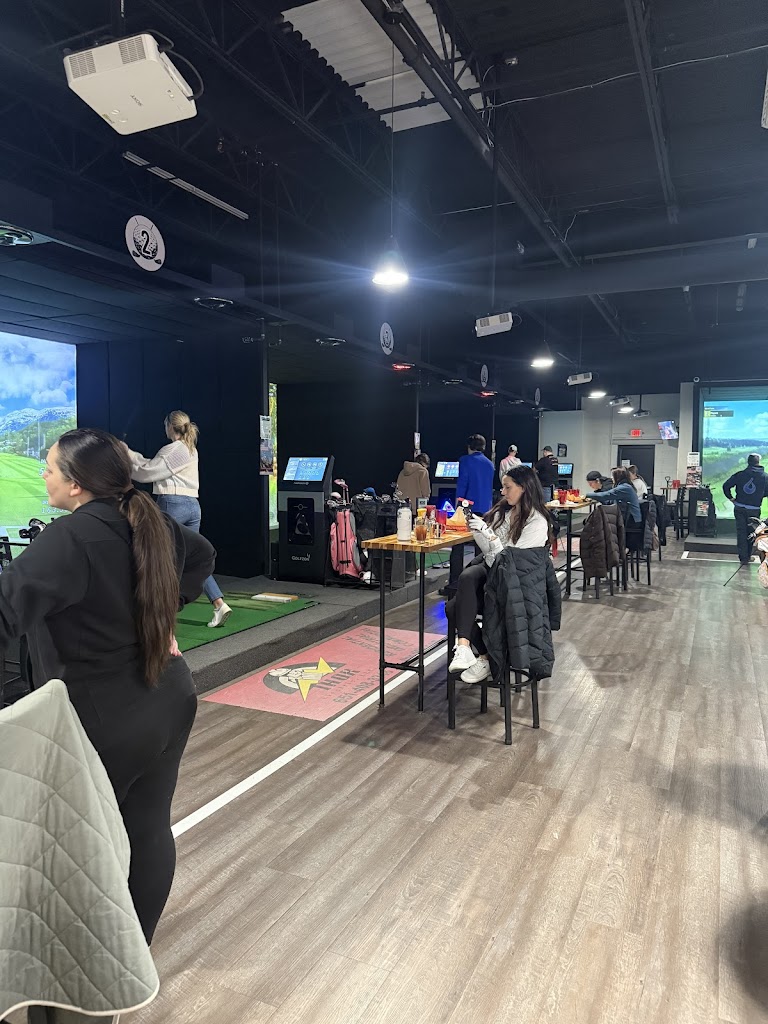 Lakeville Links Indoor Golf - review