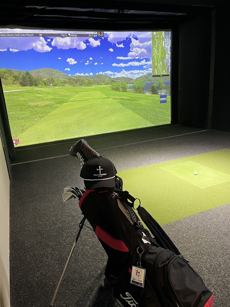 Sota Sims Golf - review