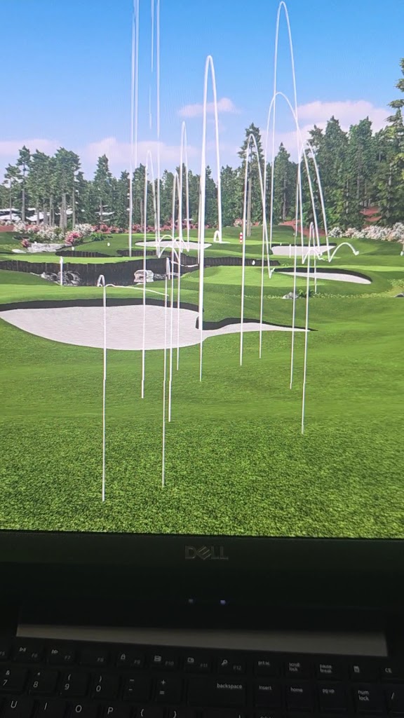 The Back Nine Golf | Austin, TX East - review