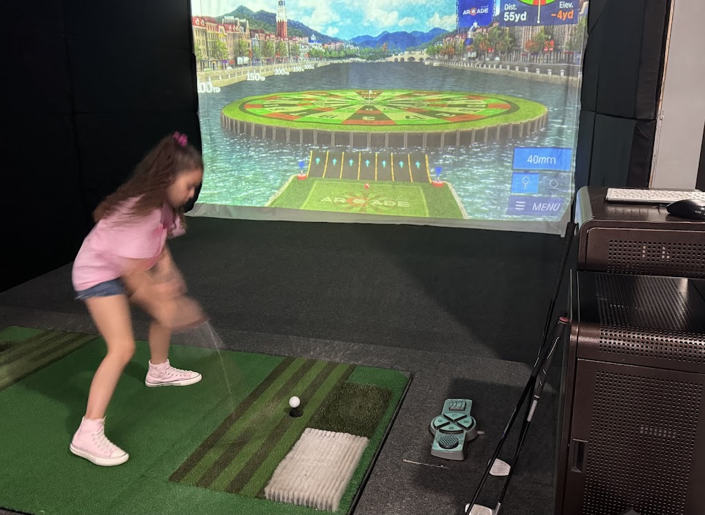4 Majors Indoor Golf - review