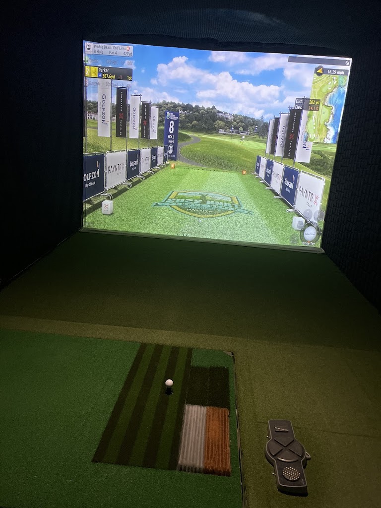 Par Golf TN - review