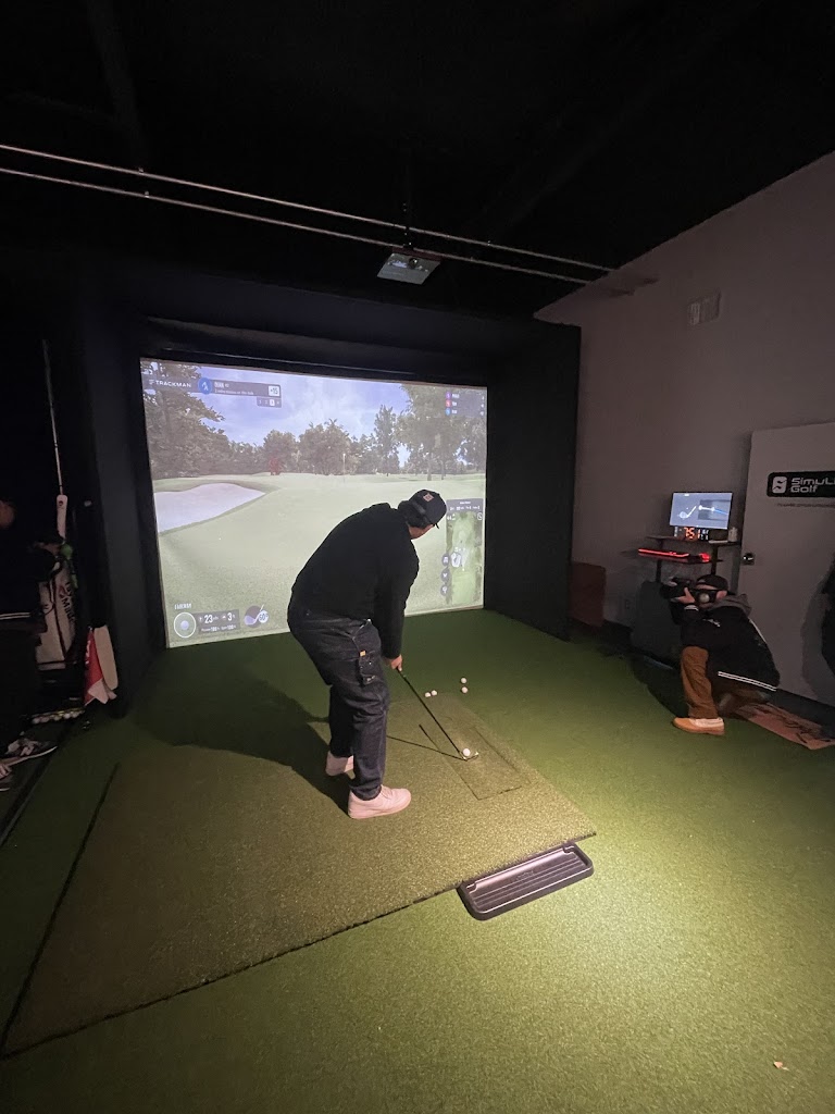 SimuLinks Golf - review