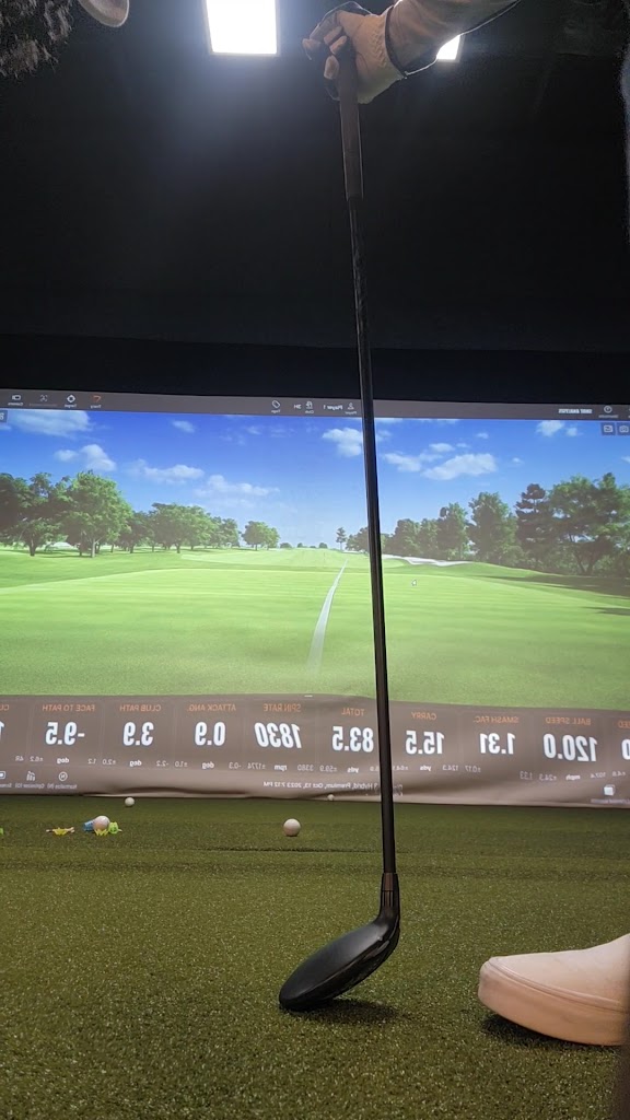 Newport Indoor Golf - review