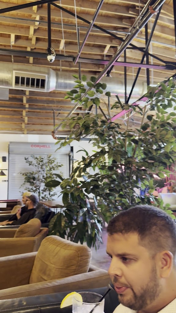 One Shot Back - review